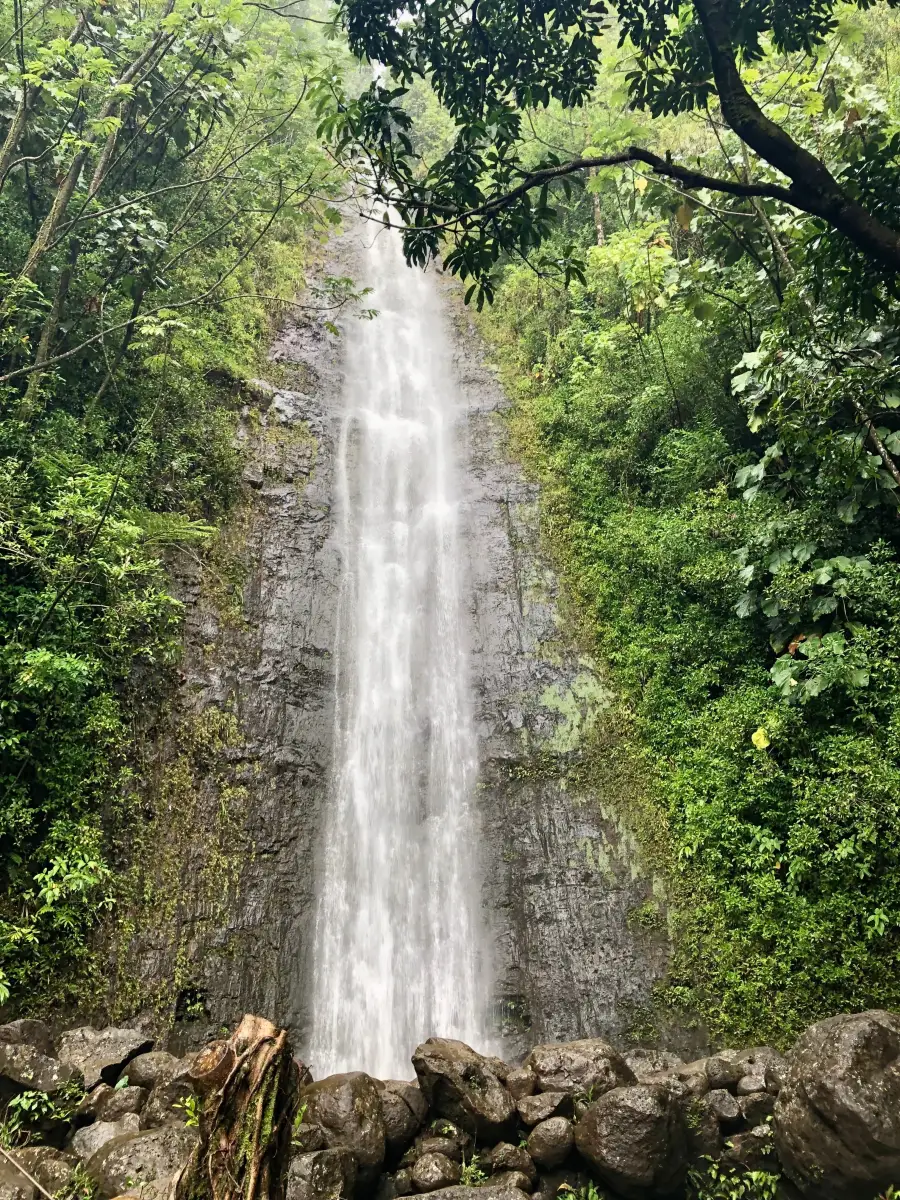Mānoa Falls cascading through Oahu rainforest