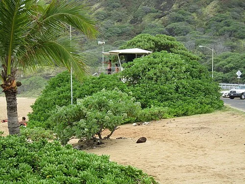 Sandy Beach