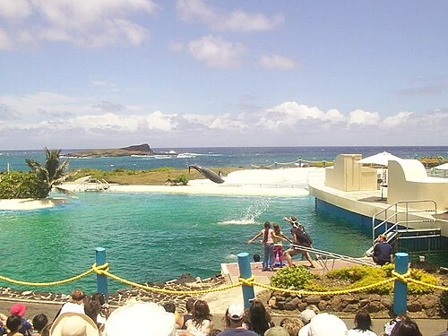 Sea Life Park