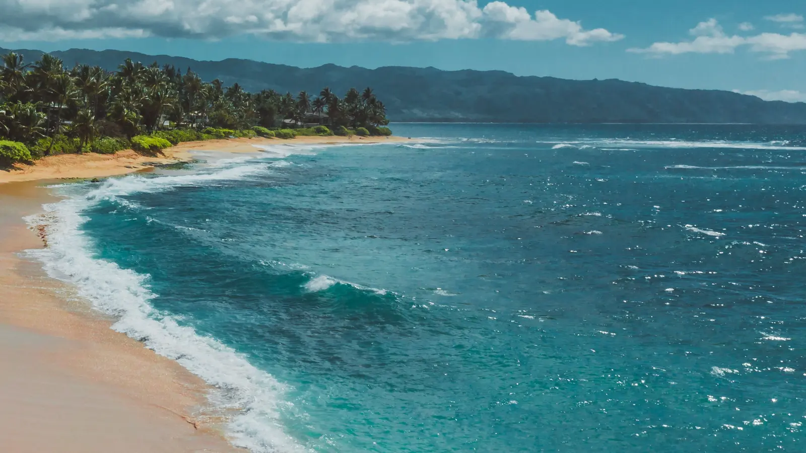 North Shore Adventure