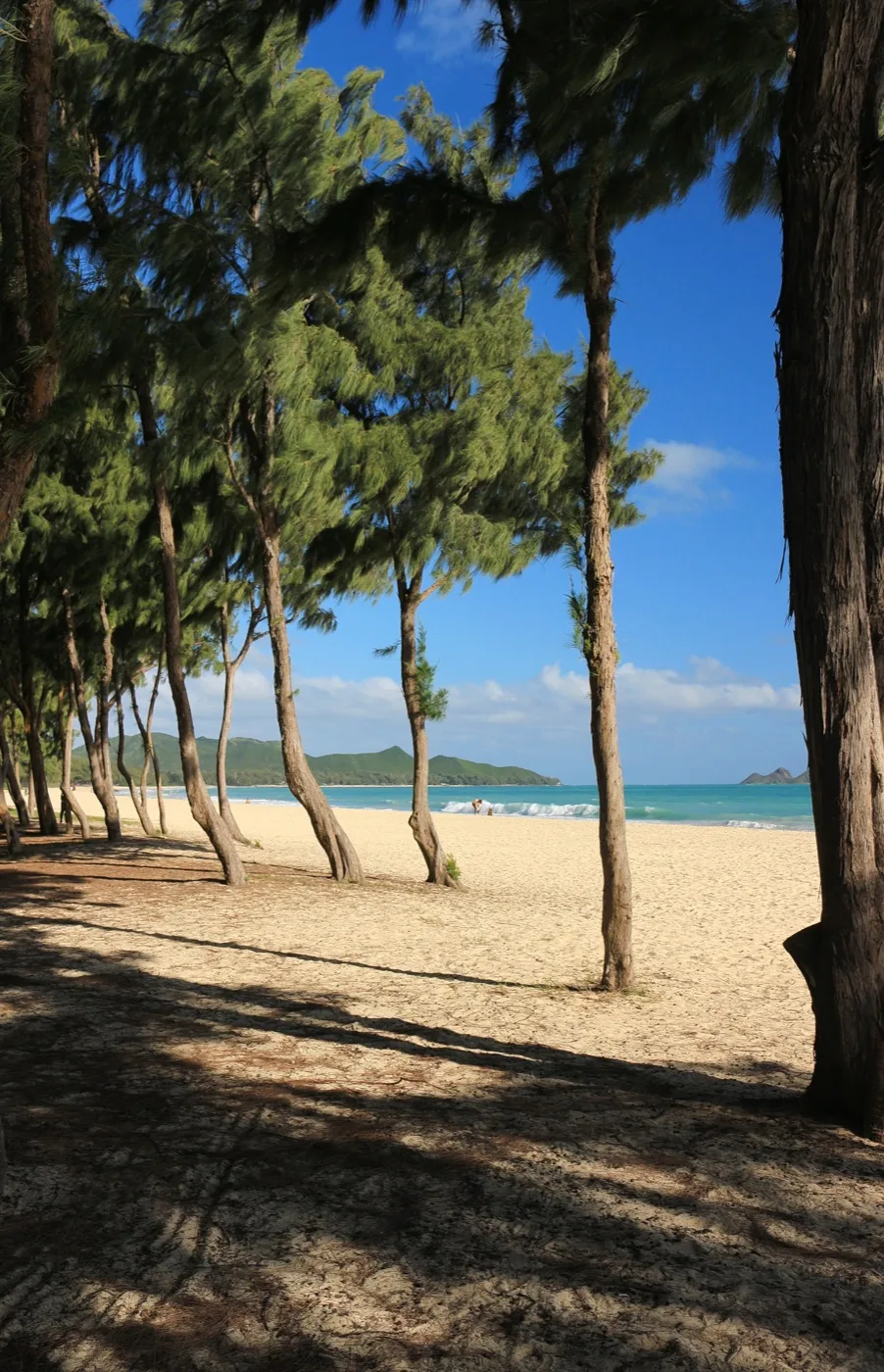 Waimanalo Beach